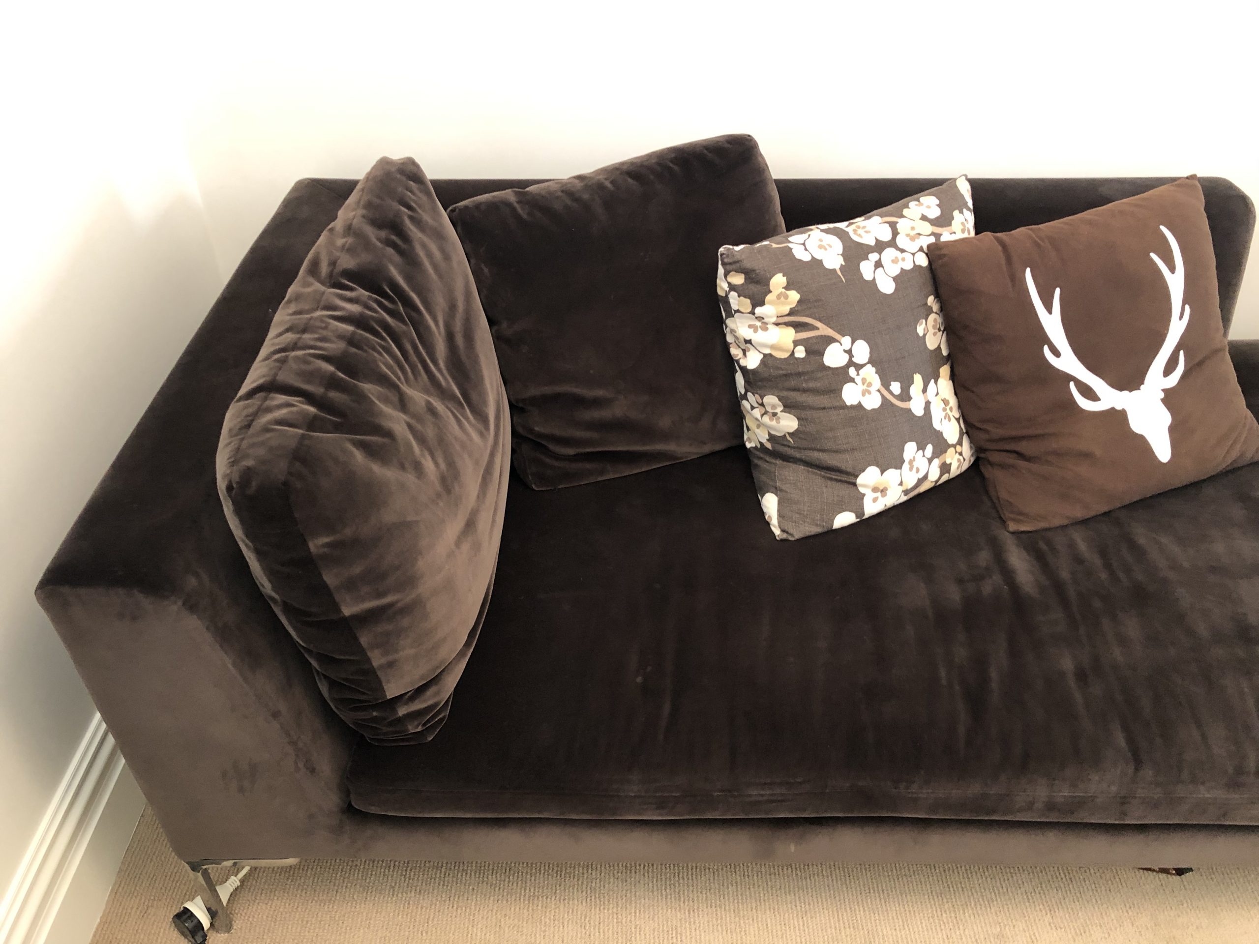 Upholstery Couch Cleaning